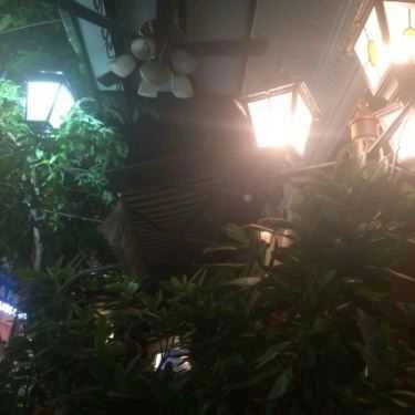 Tổng hợp- Mayfair Cafe - Nguyễn Xí