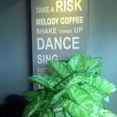 Tổng hợp- Melody Coffee - Xuân Phương