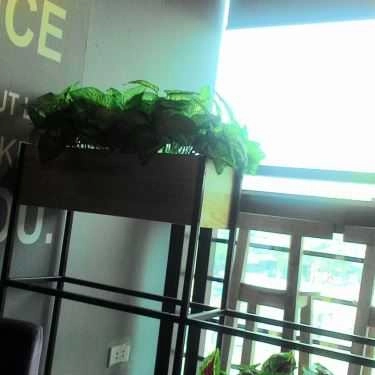 Tổng hợp- Melody Coffee - Xuân Phương