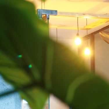 Tổng hợp- Melody Coffee - Xuân Phương