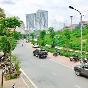Tổng hợp- Meo Cà Phê