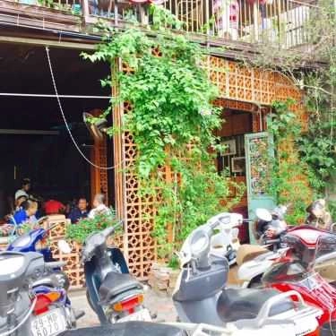 Tổng hợp- Meo Cà Phê