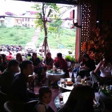 Tổng hợp- Meo Cà Phê