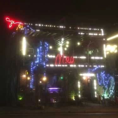 Tổng hợp- Meo Cà Phê