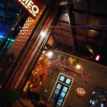 Tổng hợp- Meo Cà Phê