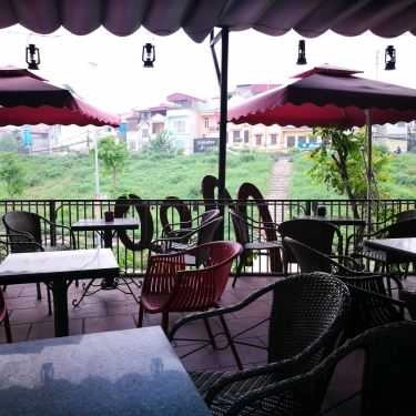 Tổng hợp- Meo Cà Phê