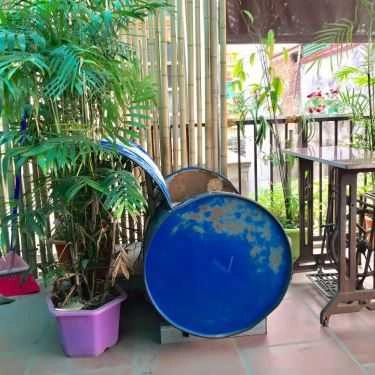 Tổng hợp- Meo Cà Phê