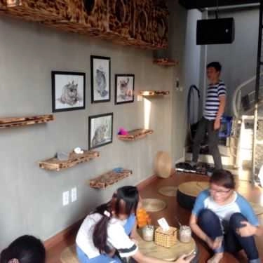 Tổng hợp- Meow Coffee - Tây Sơn