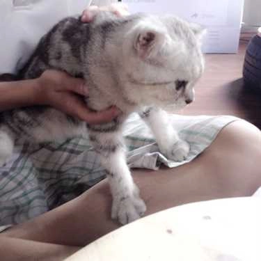 Tổng hợp- Meow Coffee - Tây Sơn