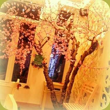 Tổng hợp- Min House Cafe - Hà Trì