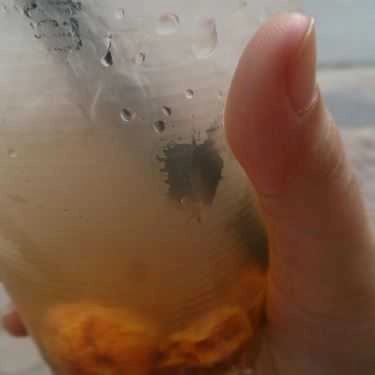Tổng hợp- Minh Coffee - Hàm Long