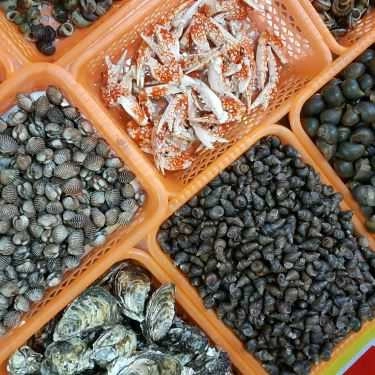 Tổng hợp- Ăn vặt Mít Mật - Ốc Ngon Hải Phòng