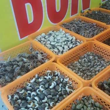 Tổng hợp- Ăn vặt Mít Mật - Ốc Ngon Hải Phòng