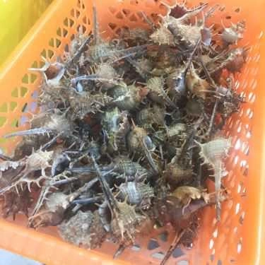 Tổng hợp- Ăn vặt Mít Mật - Ốc Ngon Hải Phòng