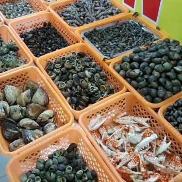 Tổng hợp- Ăn vặt Mít Mật - Ốc Ngon Hải Phòng