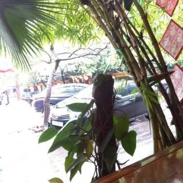 Tổng hợp- Mộc Quán Cafe - Sân Vườn