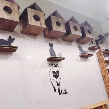 Tổng hợp- Mon Cat Coffee