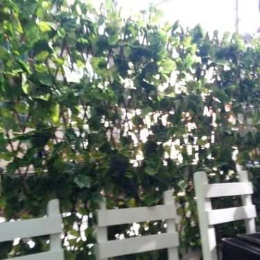 Tổng hợp- Cafe Mr Good Tea - Bà Triệu