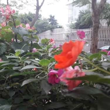 Tổng hợp- Mun Coffee - Chung Cư Vinaconex 1