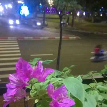 Tổng hợp- My Way Cafe & Beer - Nguyễn Du