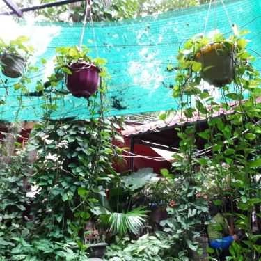 Tổng hợp- New Wind Cafe - Chùa Hà
