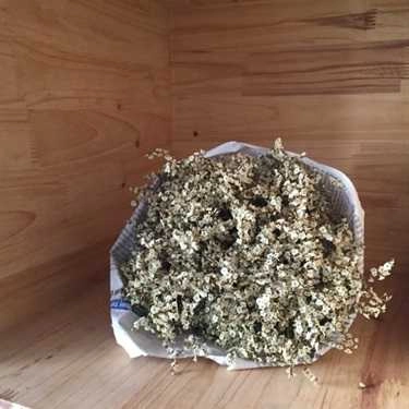 Tổng hợp- Ngầu Coffee - Giảng Võ