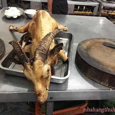 Tổng hợp- Quán Nhậu Thu Hằng - Dê Hương Sơn