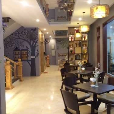 Tổng hợp- MaiLee Coffee