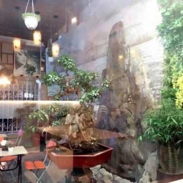 Tổng hợp- MaiLee Coffee