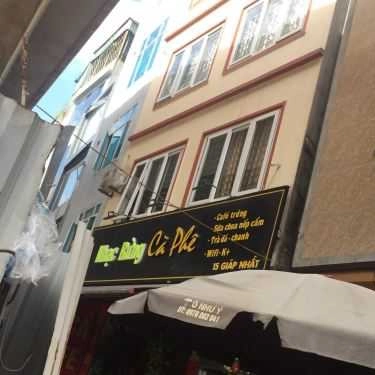 Tổng hợp- Nhạc Rừng Cafe
