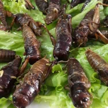 Tổng hợp- Quán Nhậu Nhậu Chợ Quê