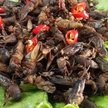 Tổng hợp- Quán Nhậu Nhậu Chợ Quê