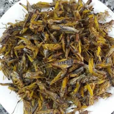 Tổng hợp- Quán Nhậu Nhậu Chợ Quê