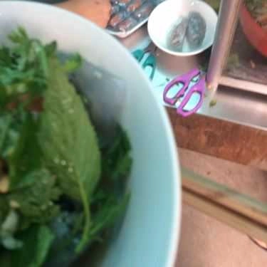 Tổng hợp- Ăn vặt Nhung Ốc - Ốc Luộc & Cháo Trai