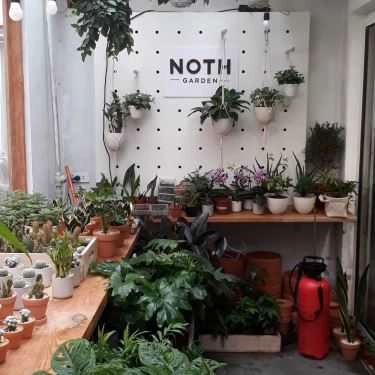 Tổng hợp- Noth Cafe