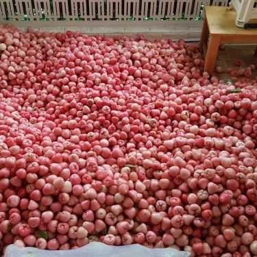 Tổng hợp- Ăn vặt Nước Ép Trái Cây Nguyên Chất - Hàng Bồ