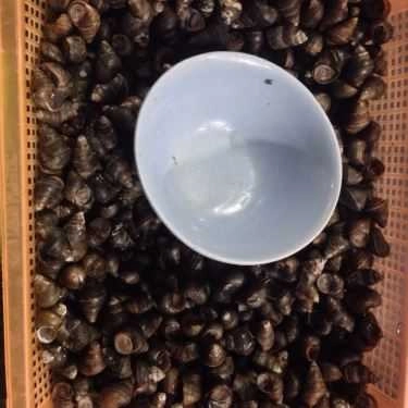 Tổng hợp- Ăn vặt Anh Phê - Ốc & Hải Sản