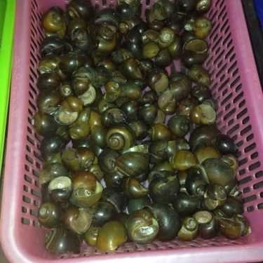 Tổng hợp- Ăn vặt Anh Phê - Ốc & Hải Sản