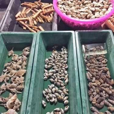 Tổng hợp- Ăn vặt Ốc Cay Đại Hồng - Trần Huy Liệu