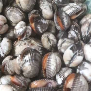 Món ăn- Ăn vặt Ốc Hải Phòng - Nguyễn Chí Thanh