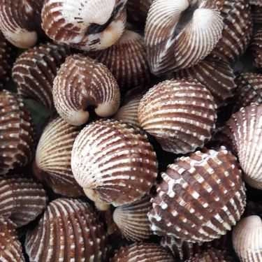 Tổng hợp- Ăn vặt Ốc Hải Phòng - Nguyễn Chí Thanh