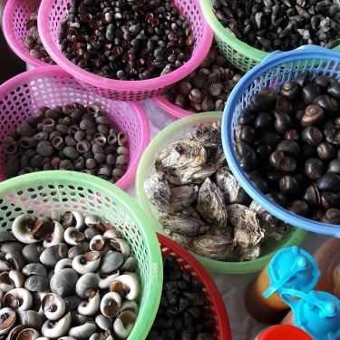 Món ăn- Ăn vặt Ốc Hải Phòng - Nguyễn Chí Thanh