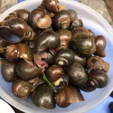 Món ăn- Ăn vặt Ốc Luộc - Hàng Bạc