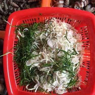 Tổng hợp- Ăn vặt Mít Mật - Ốc Ngon Hải Phòng