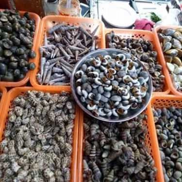 Tổng hợp- Ăn vặt Mít Mật - Ốc Ngon Hải Phòng