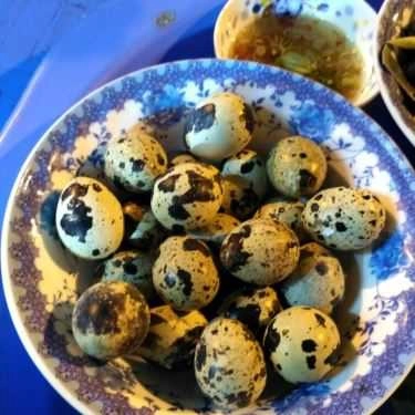 Tổng hợp- Ăn vặt Ốc Nóng 138