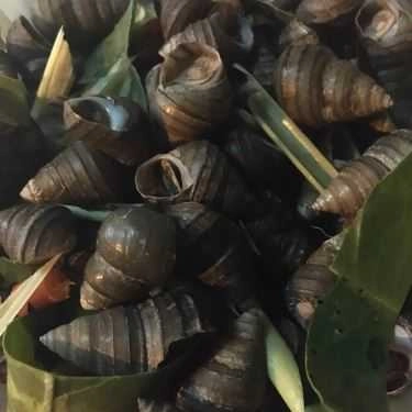 Món ăn- Ăn vặt Ốc Nóng Hồ Tây