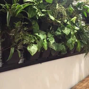 Tổng hợp- Ohayo Cafe