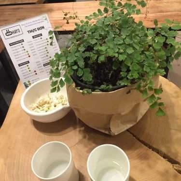 Tổng hợp- Ohayo Cafe