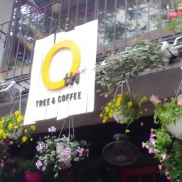 Tổng hợp- Ohi Tree and Coffee - Phan Chu Trinh